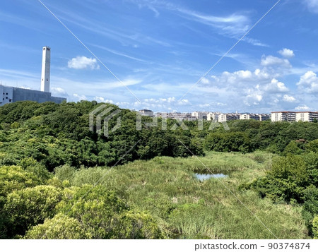 Ochiai Central Park Machinaka Biotope Ochiai Central Park Machinaka Biotope 90374874