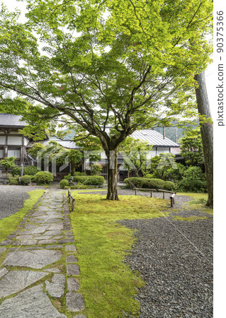 Gujo Hachiman Daijoji precincts 90375366