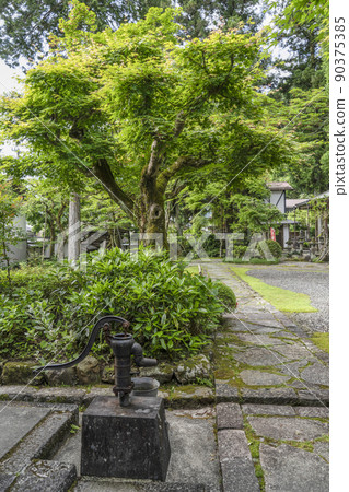 Gujo Hachiman Daijoji precincts 90375385