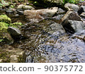 Summer river 90375772