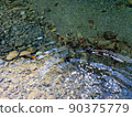 River and ripples 90375779