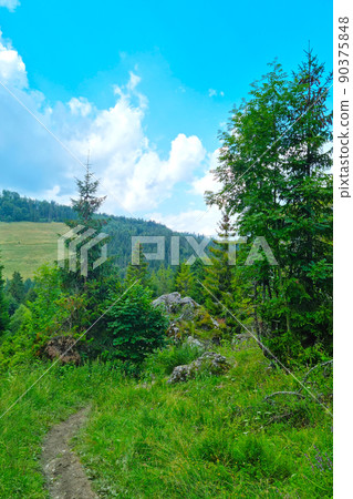 A picturesque trail in the forest in the mountainous part. 90375848
