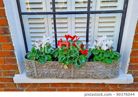 Beautiful flowers bloom on the window of the house on the street. Beautiful flowers bloom on the window of the house on the street. 90376044