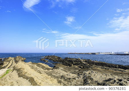Spring on Jogashima on the Miura Peninsula, the southernmost tip of Kanagawa Prefecture 90376281