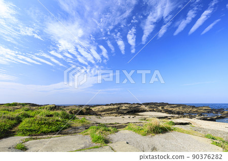Spring on Jogashima on the Miura Peninsula, the southernmost tip of Kanagawa Prefecture 90376282