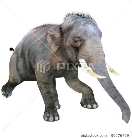 印度象 ☆ 印度象 90376709