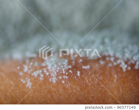 長在食物表面的黴菌孢子 長在食物表面的黴菌孢子 90377149
