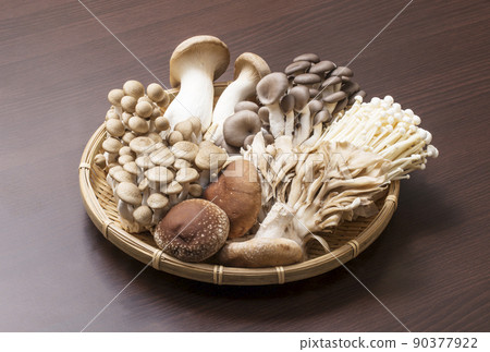 食用菌，各種蘑菇，什錦蘑菇，圖片素材 90377922