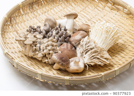 Edible mushrooms, various mushrooms, assorted mushrooms, image material Edible mushrooms, various mushrooms, assorted mushrooms, image material 90377923