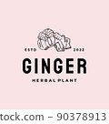 Ginger root logo. Herbal spice logo design 90378913