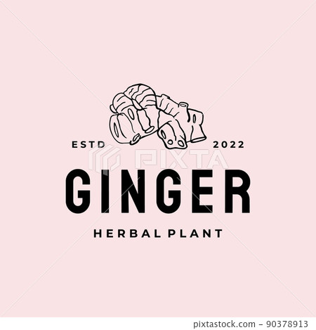 Ginger root logo. Herbal spice logo design Ginger root logo. Herbal spice logo design 90378913