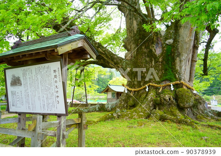 Noma's Great Keyaki（大阪府豐野區鼻町） 90378939