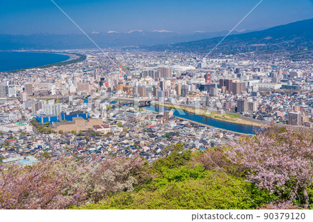 (Shizuoka Prefecture) The cityscape of Numazu City seen from Mt. Kanuki in full bloom 90379120