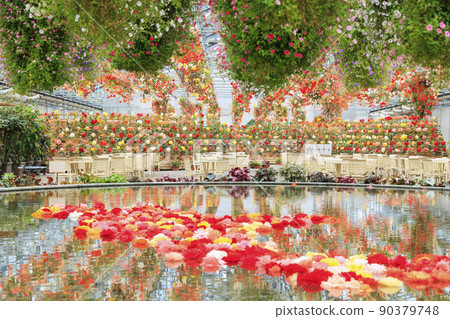 Naganoana Village Begonia Garden 90379748