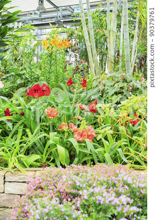長野村海棠花園 長野村海棠花園 90379761