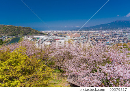 (Shizuoka Prefecture) The cityscape of the eastern part of the prefecture seen from Honjoyama Park where cherry blossoms bloom (Shizuoka Prefecture) The cityscape of the eastern part of the prefecture seen from Honjoyama Park where cherry blossoms bloom 90379817