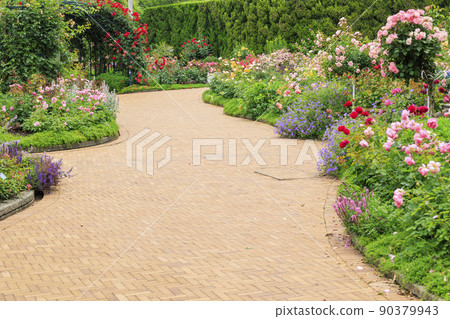 Nabana no Sato Rose Garden in full bloom 90379943