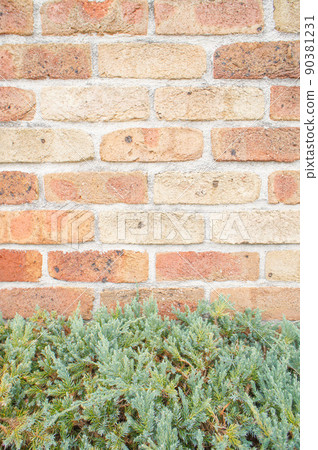 磚牆和植物綠色 90381231