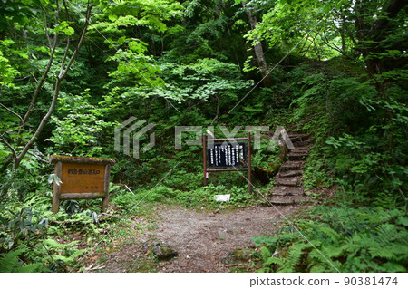 Tsurugi mountain trail entrance (Hayatsuki ridge route) 90381474