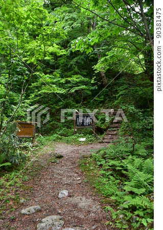 Tsurugi mountain trail entrance (Hayatsuki ridge route) 90381475
