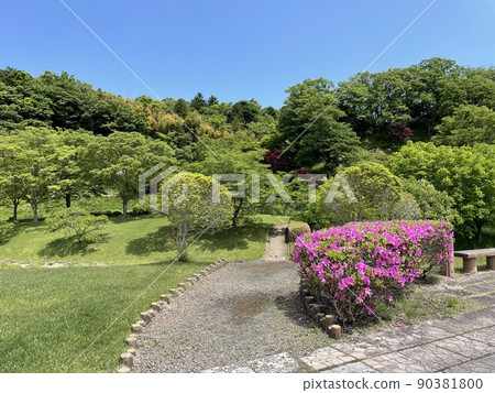 自然豐富的公園 90381800