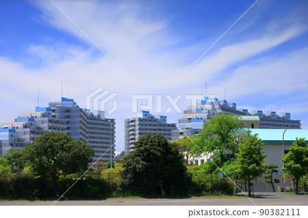 Urayasu palm tree landscape 90382111