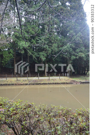 Tajiri no Ike (Yamanaka Castle Ruins Park / Yamanaka Shinden, Mishima City, Shizuoka Prefecture) 90383312