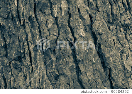 Background of brown tree bark with moss, close-up. Relief natural texture of oak trunk for publication, screensaver, wallpaper, postcard, poster, banner, cover, website, post. High quality photography 90384262