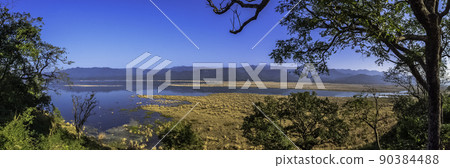 Ramganga River in Jim Corbett National Park, India 90384488