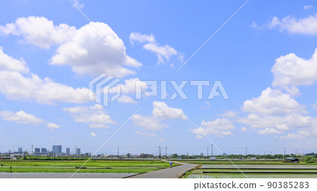 在廣闊的藍天下種植後的稻田和遠處可以看到的建築物 90385283