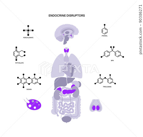 Endocrine disruptors poster Endocrine disruptors poster 90386271