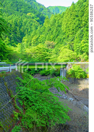 Arima Dam, Lake Naguri, Lakeside, Shiratani Bridge, Shiratanisawa, Spring, Fresh green scenery 90386287