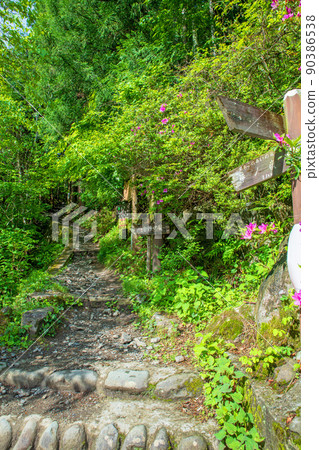 Arima Dam, Lake Naguri, Lakeside, Bonooreyama Trailhead, Spring, Fresh Green Landscape 90386538
