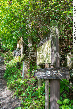 Arima Dam, Lake Naguri, Lakeside, Bonooreyama Trailhead, Spring, Fresh Green Landscape 90386540