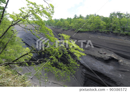 Grand Canyon Japan version Grand Canyon Japan version 90386572