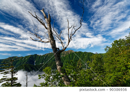 從北阿爾卑斯山的戰斗山脊上看到的大天所山和八里嶽山 90386936