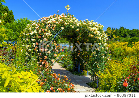 Blue sky and rosy arch Blue sky and rosy arch 90387011