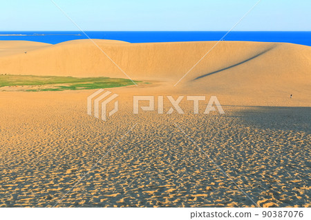 [Tottori Prefecture] Tottori Sand Dunes on a sunny day 90387076