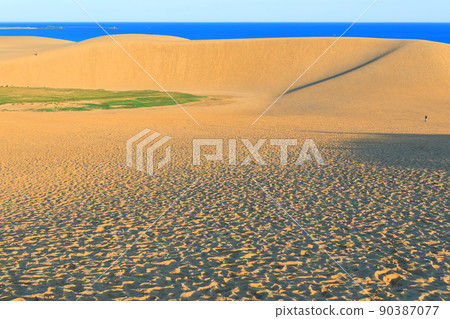 [Tottori Prefecture] Tottori Sand Dunes on a sunny day 90387077