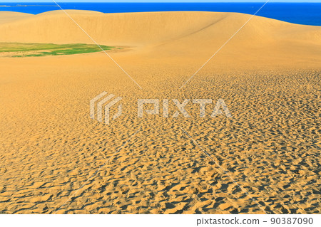 [Tottori Prefecture] Tottori Sand Dunes on a sunny day 90387090