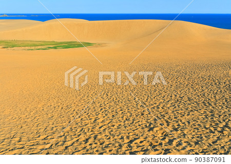 [Tottori Prefecture] Tottori Sand Dunes on a sunny day 90387091