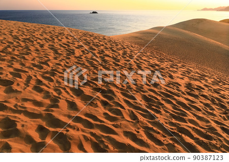 [鳥取縣]日出時的鳥取沙丘 90387123