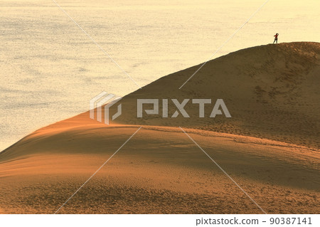 [Tottori Prefecture] Tottori Sand Dunes at sunrise 90387141
