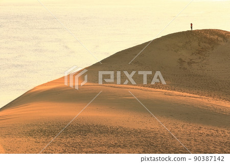 [Tottori Prefecture] Tottori Sand Dunes at sunrise 90387142