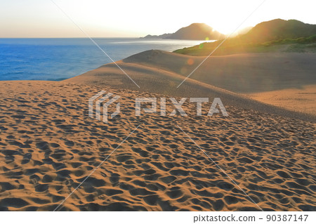 [鳥取縣]日出時的鳥取沙丘 90387147