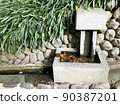 Fallen leaves and Japanese garden 90387201
