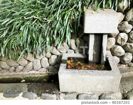 Fallen leaves and Japanese garden Fallen leaves and Japanese garden 90387201