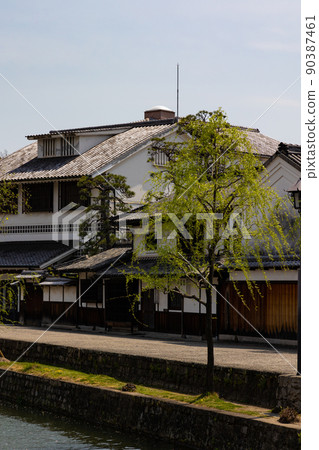 EOS R6. Okayama Kurashiki, young willow road. 90387461