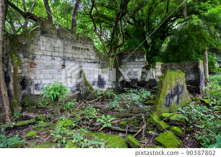 Remains of the destroyed houses of the Armero Town covered by trees and nature after 37 years of the tragedy caused by the Nevado del Ruiz Volcano in 1985 90387802