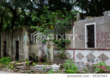 Remains of the destroyed houses of the Armero Town covered by trees and nature after 37 years of the tragedy caused by the Nevado del Ruiz Volcano in 1985 90387804
